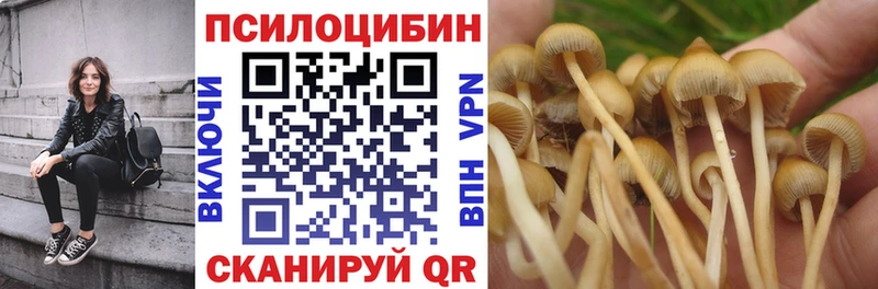 цены   Темрюк  Псилоцибиновые грибы Cubensis 