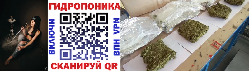 Марихуана сатива  Темрюк 